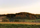 IMG_20231108_162145_HDR.webp