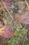 IMG_2367.webp
