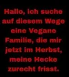 1699739988067.webp