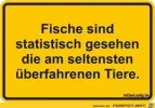 images (2).webp