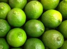 Limetten.webp
