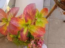 IMG_20231123_093149.webp