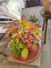 IMG_20231123_093140.webp