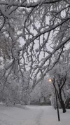 IMG-20231202-WA0000.webp