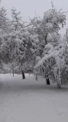 IMG-20231202-WA0001.webp
