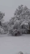 IMG-20231202-WA0003.webp