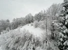 IMG_2476.jpeg