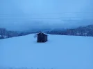 20231202_162959.jpg