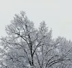 20231202_152054.webp