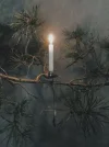 1701588719545.webp