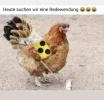 1701792856475.webp