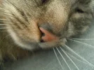 1701946237004.webp