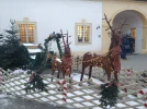 IMG_20231208_155222.webp