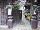 34546156ei.webp