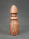 DSCN3401.webp