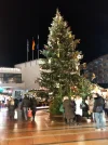 IMG_20231215_180104.webp