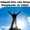 0000000000 1 Hirn oder Steine11.webp