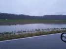 20231224_082640.webp
