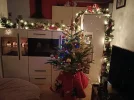IMG_20231224_161849.webp
