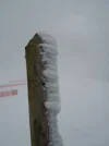 1703668438022.webp