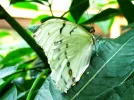 Verwandlung.webp