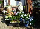 Ein Garten ist ein Freund ....webp