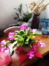 IMG_20240105_161126.webp