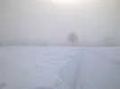 Bild0180.webp