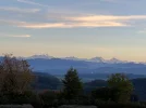 IMG_0019.jpeg
