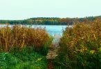 Ein Tag am See.webp