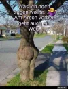 ! 1 a Arsch.webp