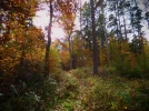 hidden.webp