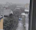 Schnee.webp