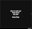 ! 1 a biene.webp
