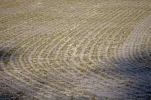 _IMGP2085k.webp