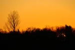 _IMGP2366k.webp