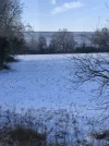 Ein Stück Heimat.webp