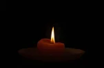 1706381559320.webp