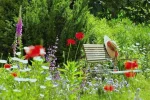 ! 1 blumenbank.webp