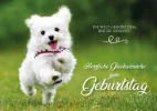 geb-Z.webp
