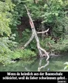 ! a schleichen.webp