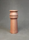 DSCN3461.webp