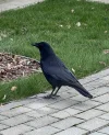 IMG_1915.webp