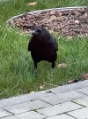 IMG_1920.webp