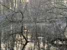 IMG_1999.webp