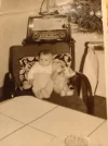 !1 a Bild Baby.webp !1 a Bild Baby.webp