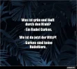 ! 1 a Gurken.webp
