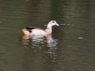 20240314_094920.webp