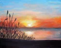 PICT0080.webp