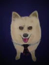 20160315_081825.webp
